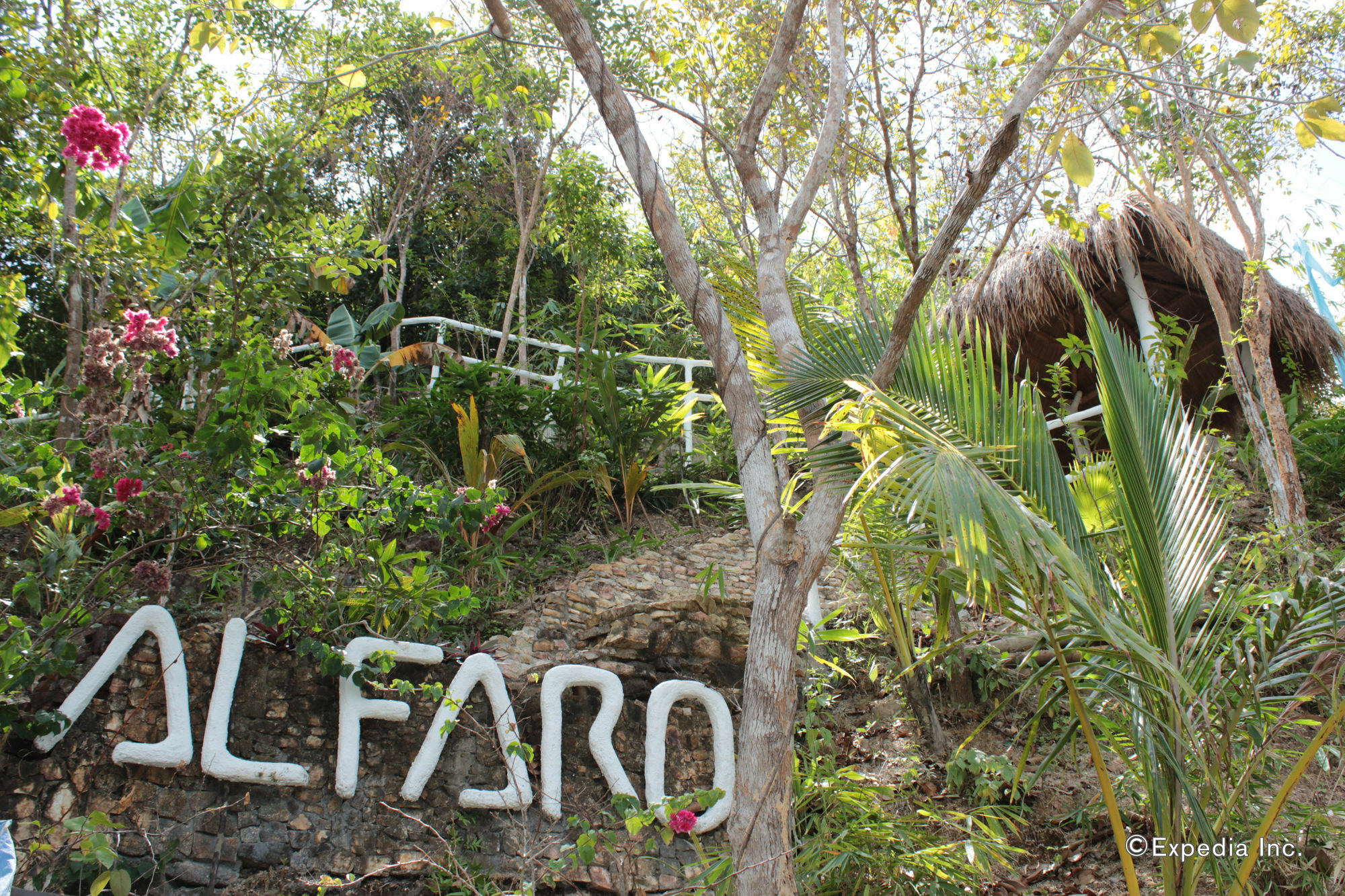 Al Faro Cosmio Hotel Palawan Бусуанга Экстерьер фото